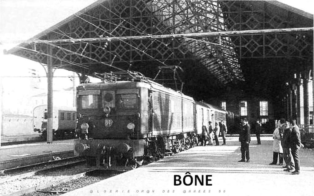 Bone 005.JPG